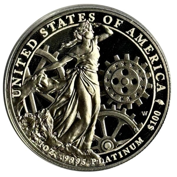1 oz Platin American Eagle 2013