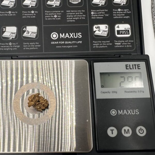 2.88g Raw Natural Canadian Crystalline/Unique Gold Nugget. - Image 3